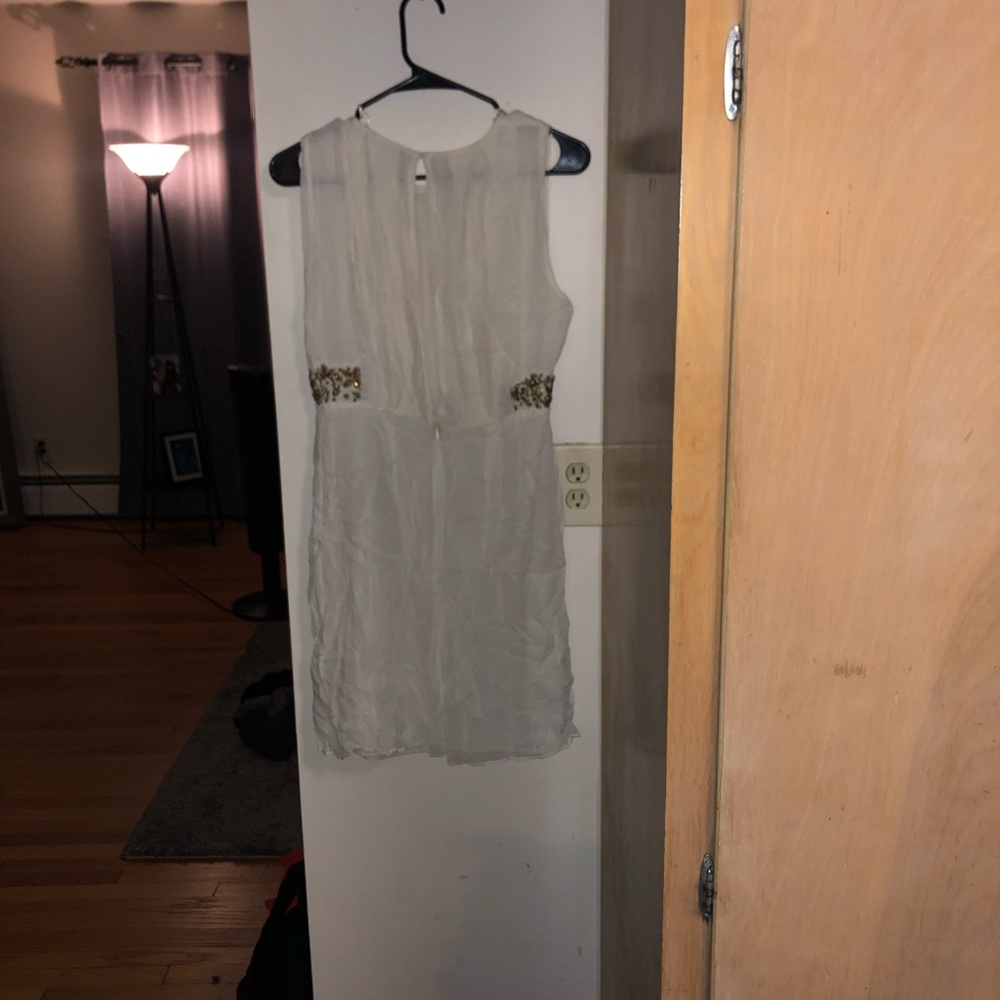 Zara dress